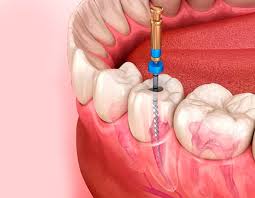 Dr Natasha's Dental Care Manjeri